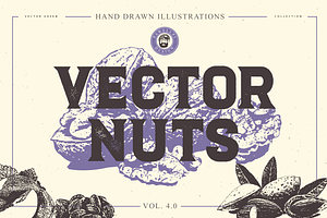 VECTOR NUTS HAND DRAWN BUNDLE 4.0