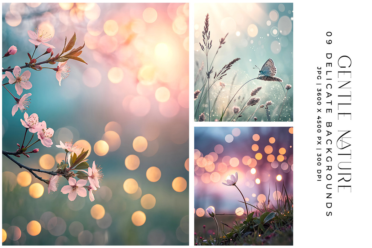 Gentle Nature, a Background Photo by Digital Art Creations (Photo 4 of 6)