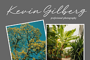 Gilded Manor - Script font, a Script Font by Majelis Art (Thumbnail 3 of 7)