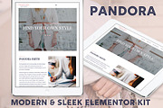 Pandora // Elementor Blog Kit, a WordPress Template by by Masselyn (Thumbnail 1 of 3)