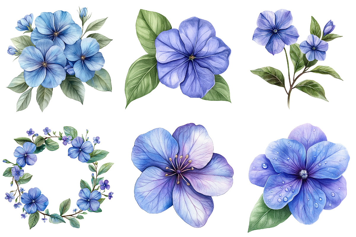 Periwinkle Flower Watercolor Clipart, an Illustration by Watercolor design (Photo 3 of 3)