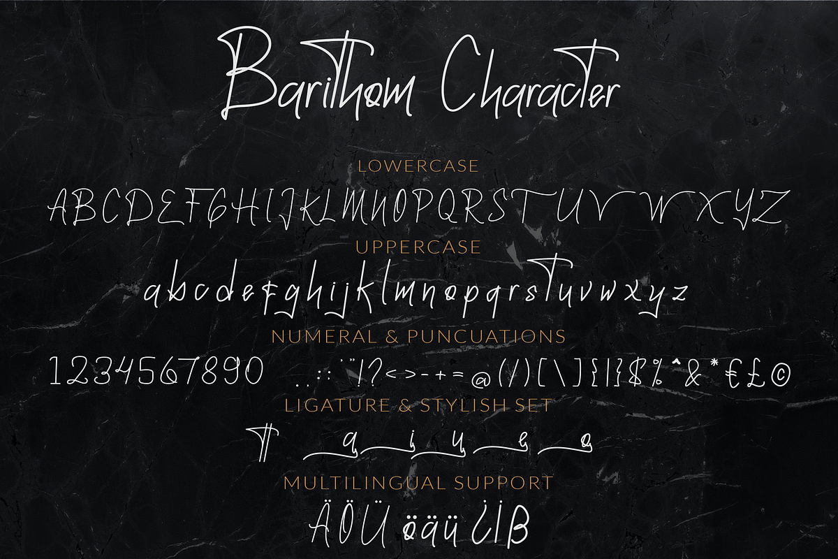 Barithom a signature monoline font, a Handwritten Font by Javatype Studio (Photo 10 of 10)