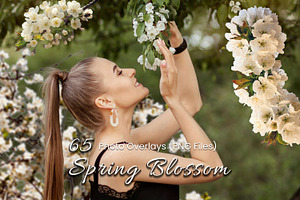 63 Spring Blossom Photo Overlays