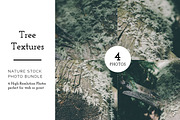 Forrest Tree Textures Bundle, a Nature Photo by Stephanie Mikuls (Thumbnail 1 of 5)