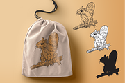 Woodland Creature Illustrations, an Animal Illustration by Inkwell Supply Co (Thumbnail 6 of 10)