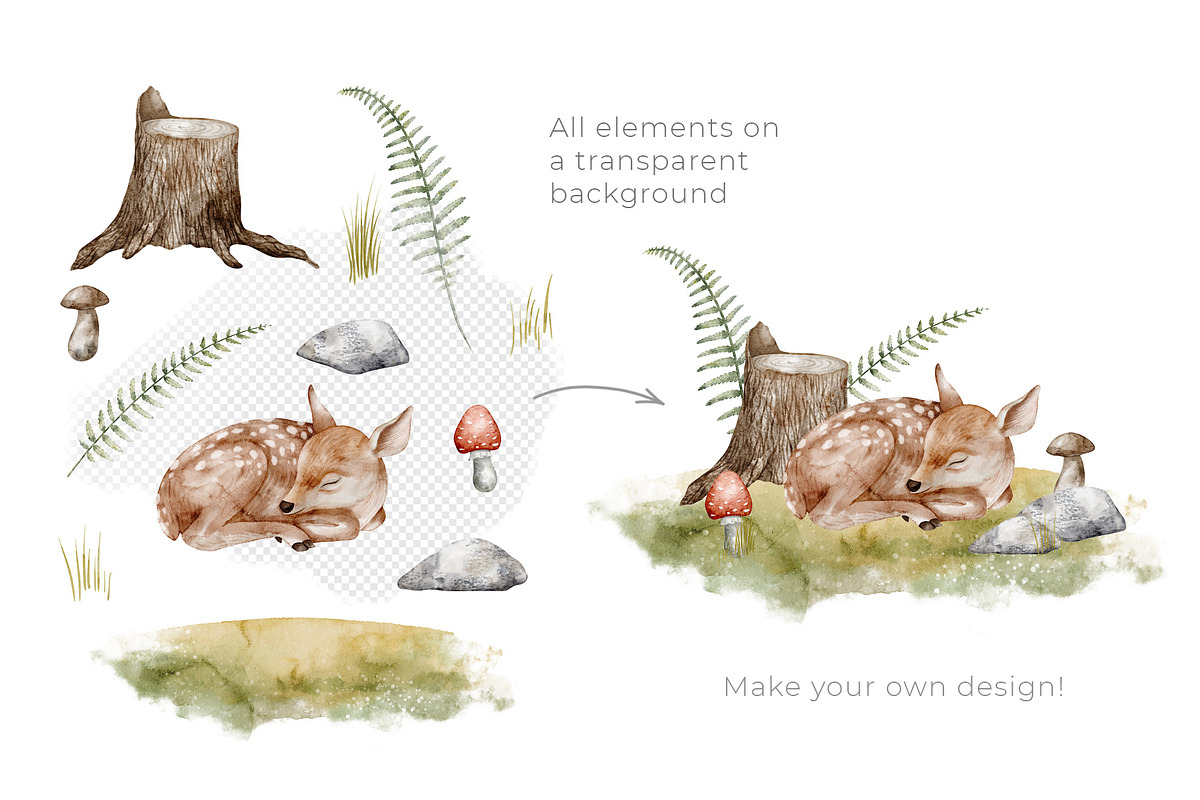 Woodland Animals Watercolor Clipart, an Illustration by Alisles (Photo 15 of 18)