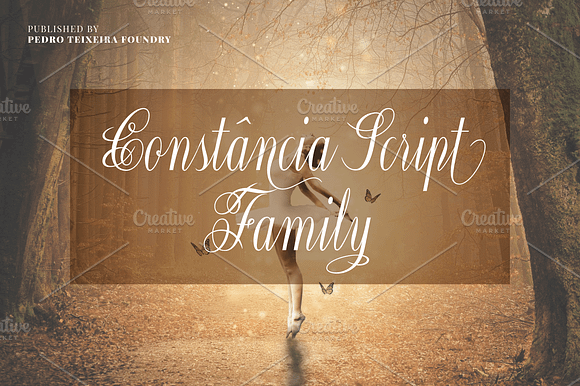 Constância Script Family preview 7
