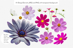 Real Flowers Seamless Pattern Bundle