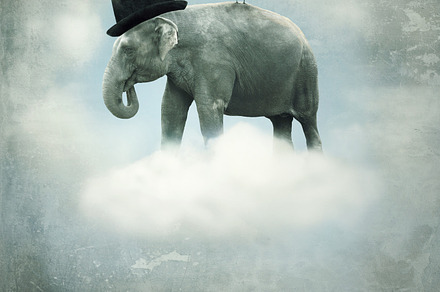 Circus elephant preview 6
