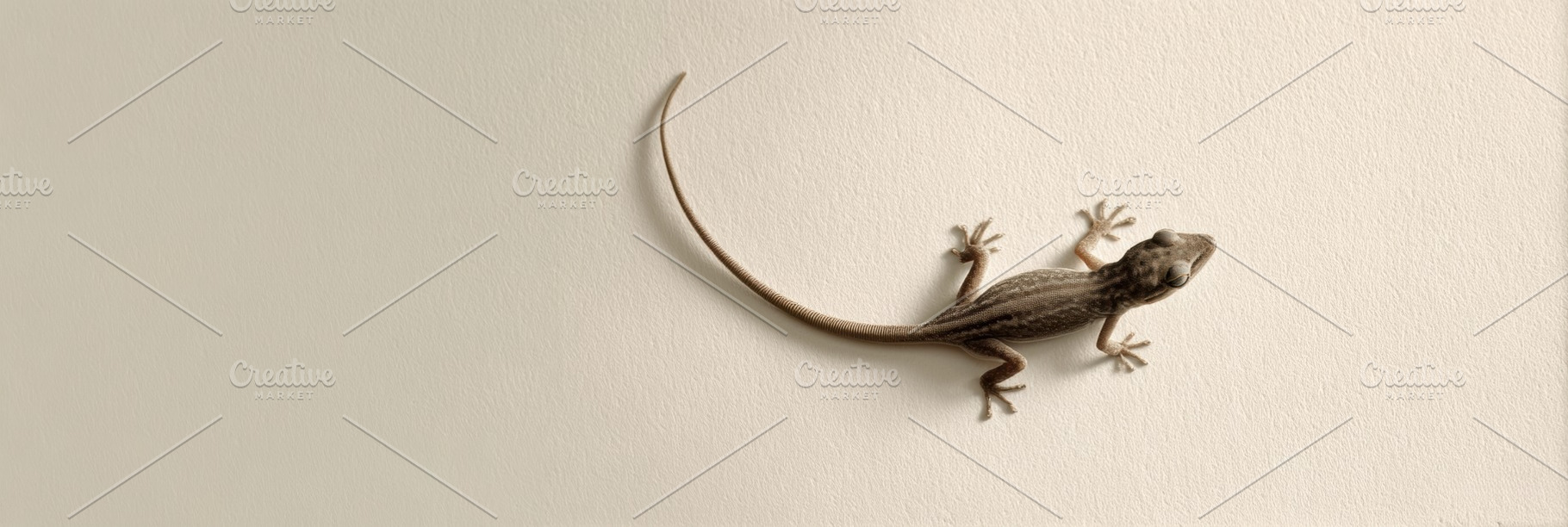 Tiny Gecko on Neutral Background, an Animal Photo by Virgo Studio