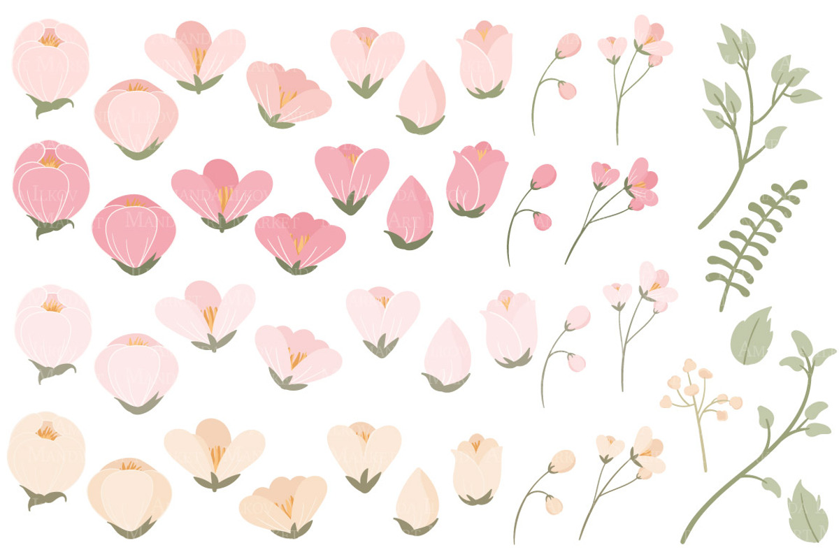Soft Pink Flower Clipart & Vectors, an Illustration by Amanda Ilkov (Photo 2 of 3)