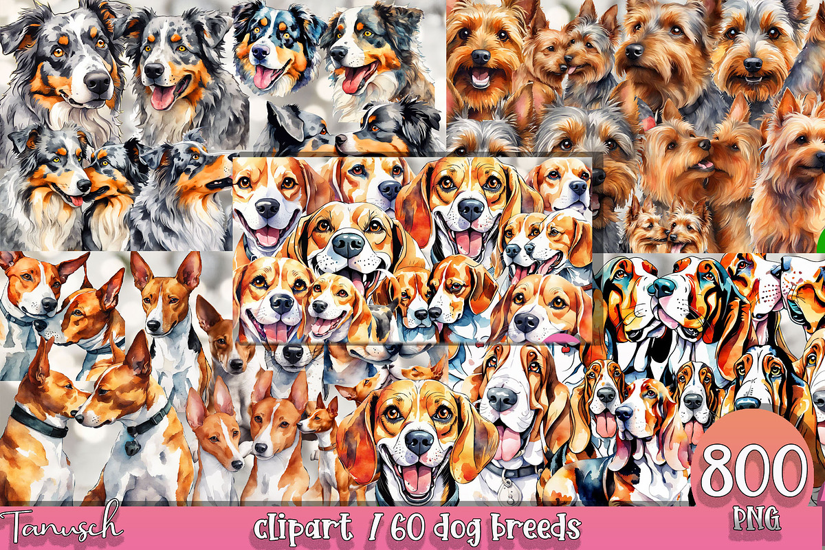 watercolor dog breeds bundle, an Animal Illustration by TanuschArts (Photo 3 of 7)