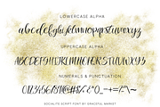 FLASH SALE! Socialite Script Font, a Script Font by Graceful Market (Thumbnail 2 of 3)