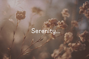 Hygge Vibes Cozy Decorative Font, a Handwritten Font by Graphic Spirit (Thumbnail 6 of 10)