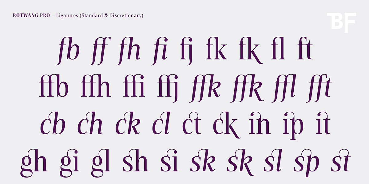 BF Rotwang Pro, a Serif Font by BrassFonts (Photo 14 of 15)