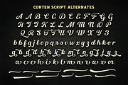 Corten, a Serif Font by Larin Type Co. (Thumbnail 14 of 14)