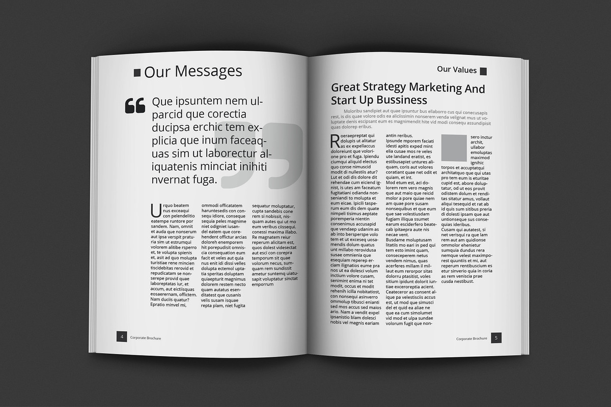 Black And White Proposal Project, a Brochure Template by feydesign (Photo 10 of 16)