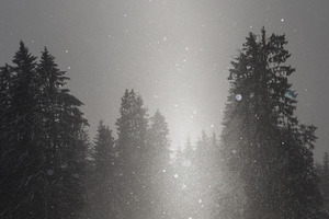 Black&white winter containing unusual, outdoor, and hiking