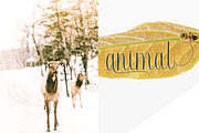 Radetta, a Script Font by PollemSt (Thumbnail 8 of 10)