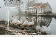 Vintage cottagecore line collection, a Decorative Illustration by 60secondsArt (Thumbnail 3 of 11)
