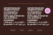 Ganttie Bold Display Serif, a Serif Font by AmorfaType (Thumbnail 10 of 11)