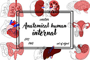 Anatomical human organ, a Graphic by Elena Mykhailenko (Thumbnail 1 of 3)