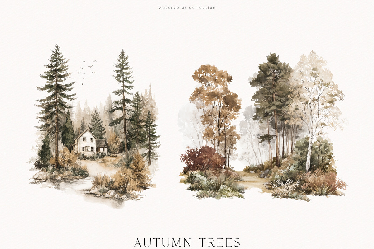An Autumn Forest Chapter Collection, an Animal Illustration by PeDe Designs (Photo 27 of 29)