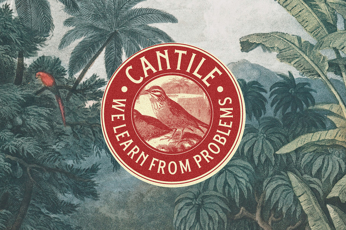 Cantile Vintage, a Sans Serif Font by Megflags (Photo 2 of 5)
