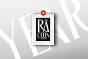 The Racoon Quest, a Serif Font by Roland Huse Design (Thumbnail 2 of 7)