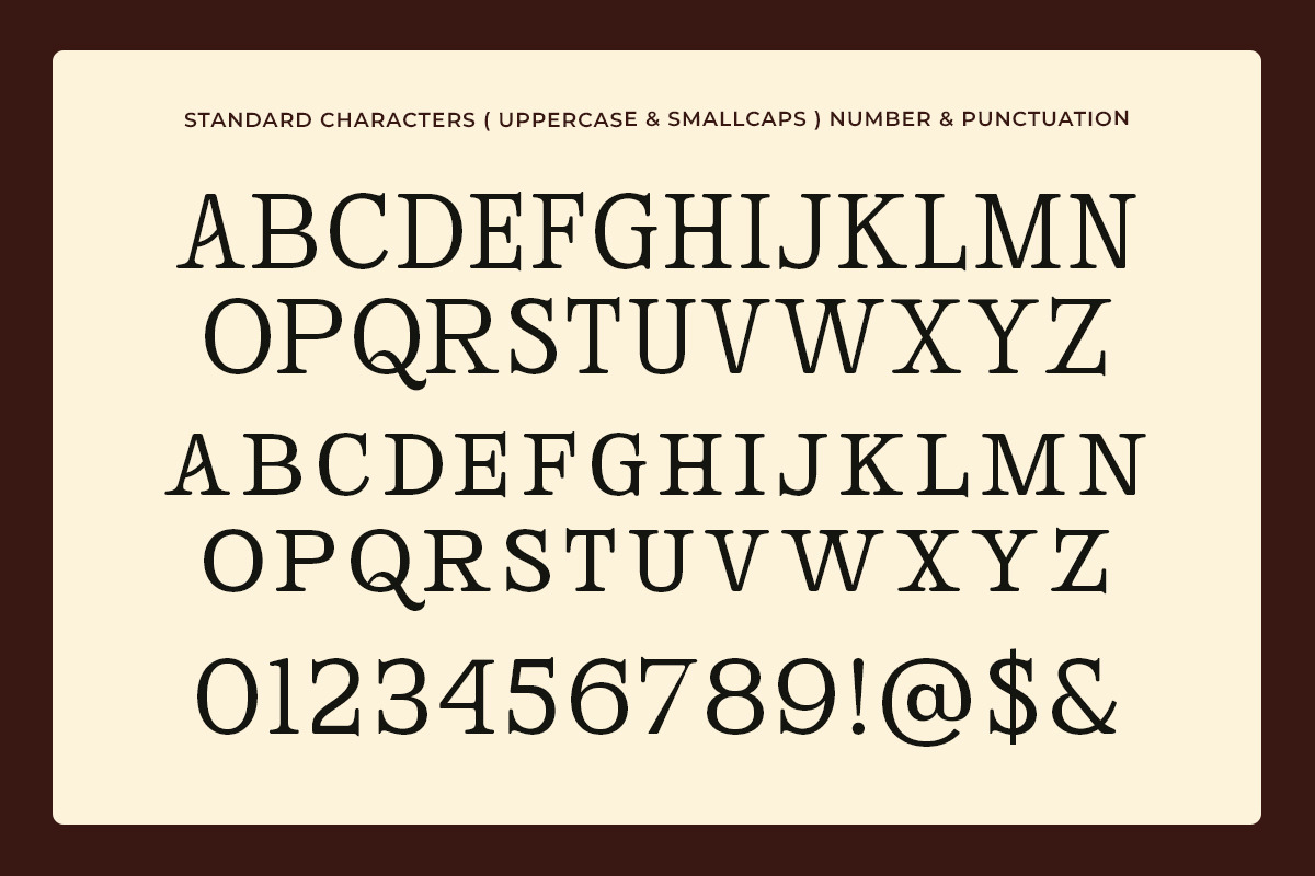 Broadest - Swash Decorative Serif, a Serif Font by Shakira Studio (Photo 10 of 10)