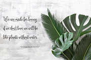 monkey, a Script Font by NJ Studio (Thumbnail 5 of 10)