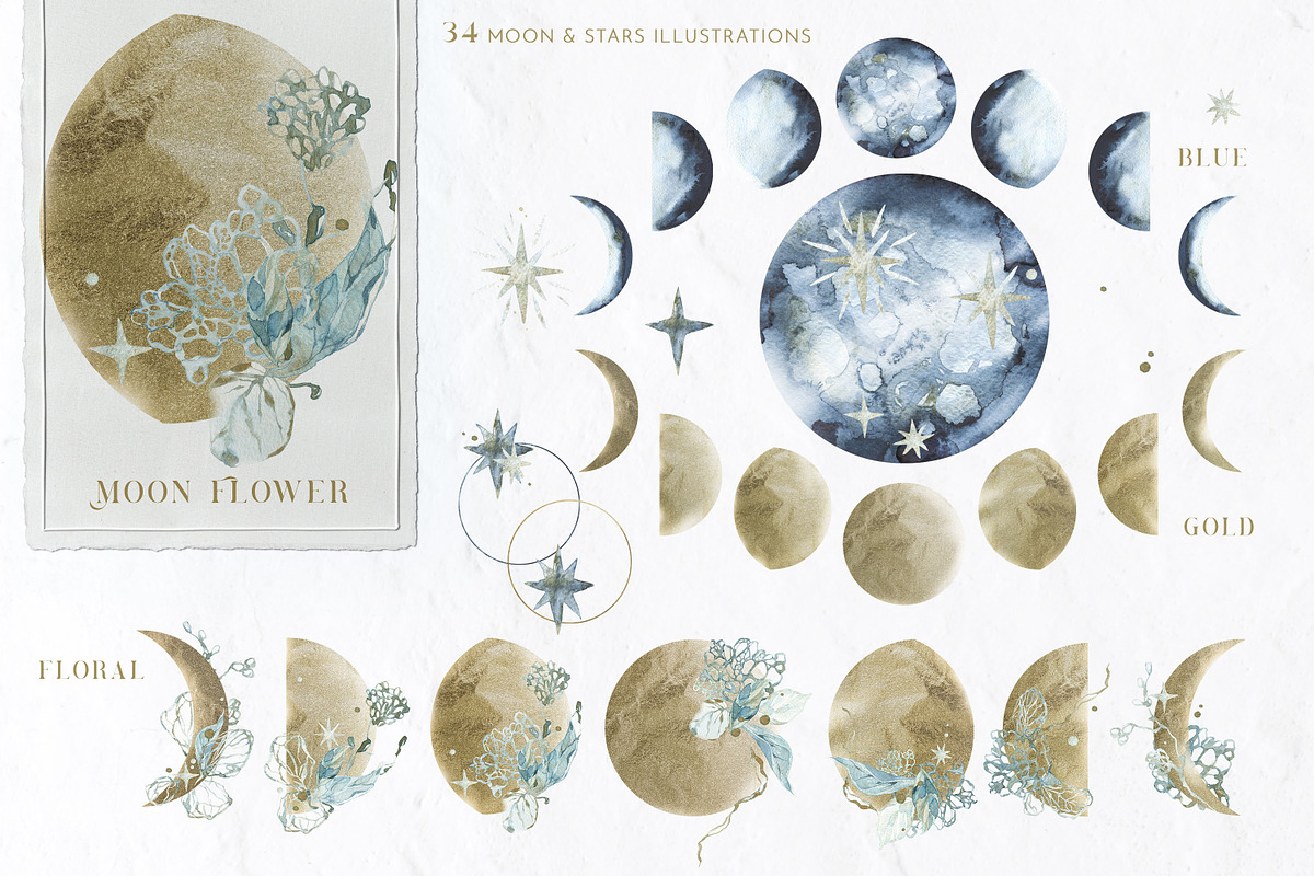Frosty Forest Winter Collection, an Animal Illustration by Cat In Colour (Photo 7 of 10)