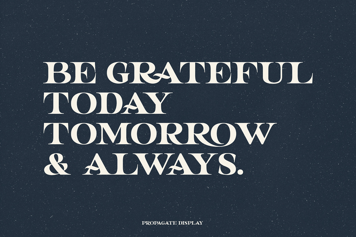 Propagate - Vintage Serif, a Sans Serif Font by Graptail (Photo 10 of 12)