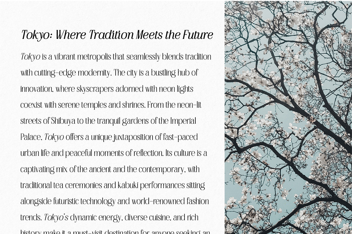 Nouvelle Edition, a Serif Font by Prestige Artsy Studio (Photo 10 of 10)