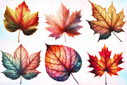 Watercolor Fall Foliage Clipart PNG, a Seasonal Illustration by Canvas Craft (Thumbnail 3 of 7)