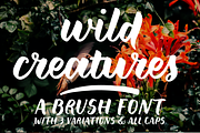 Wild Creatures brush font family, a Font by Ana's Fonts (Thumbnail 1 of 6)