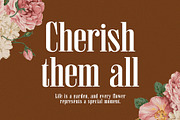Gelatacos - Classy & Stylish Serif, a Serif Font by TypeLogue (Thumbnail 4 of 5)