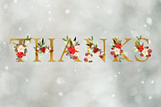 20% OFF! Christmas Floral Alphabet, an Illustration by Chus Moreno Studio (Thumbnail 11 of 11)