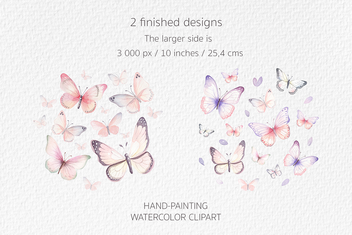 Watercolour Butterflies and Flowers, an Illustration by Lemon design (Photo 11 of 17)
