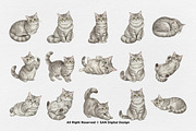 15 Bundle Watercolor Grey Cats Pet, an Animal Illustration by Morspective (Thumbnail 15 of 15)