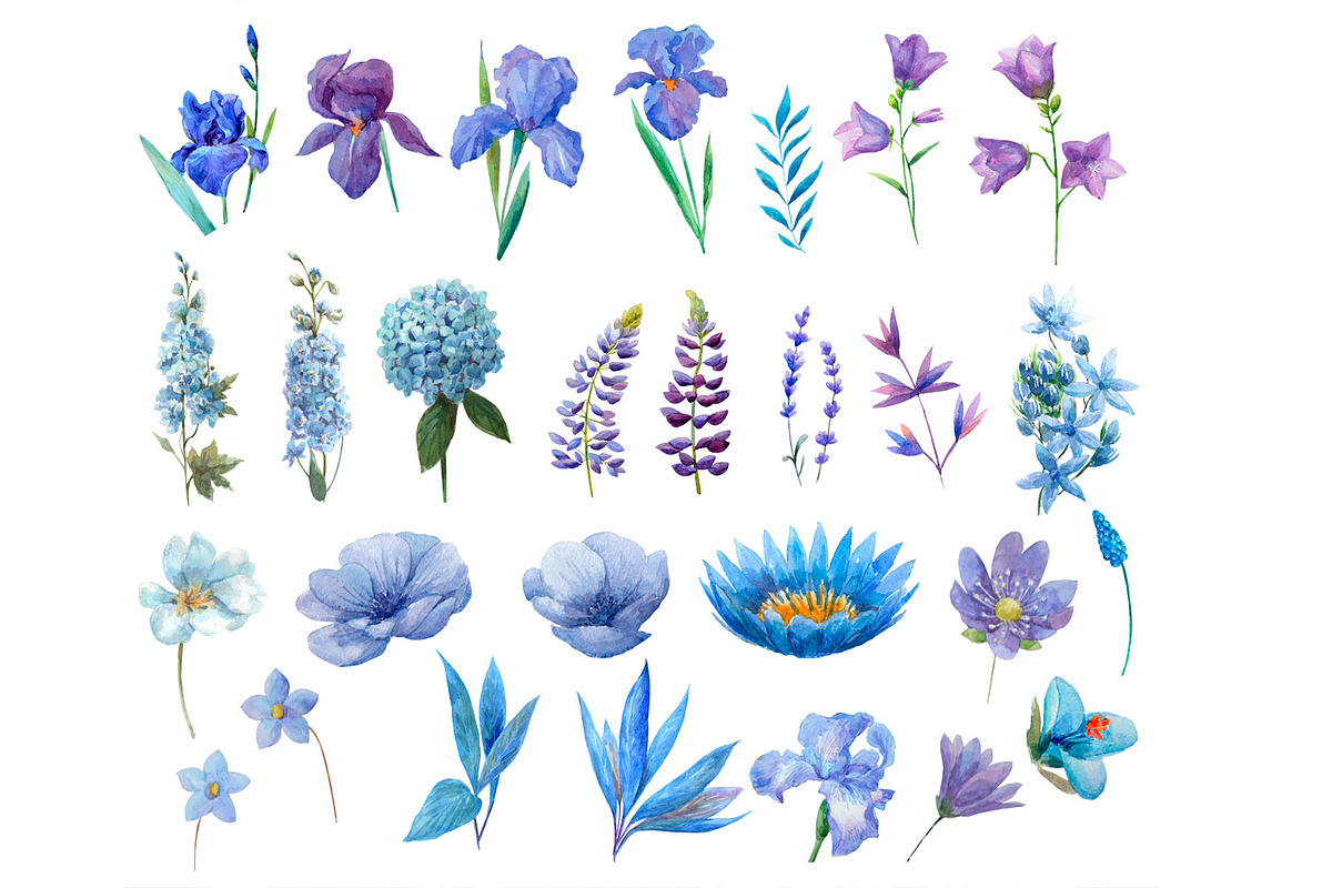 Watercolor blue flowers and birds., an Illustration by yulia.sukhanova (Photo 2 of 4)