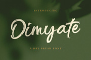 Dimyate - Dry Brush Script Font, a Script Font by Imiftype Studio (Thumbnail 9 of 9)