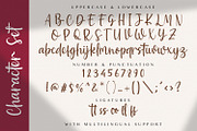 Baweni - Handwritten Script Font, a Script Font by StringLabs (Thumbnail 8 of 9)