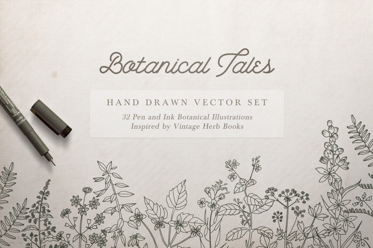 Botanical Illustrations Vector Set, a Decorative Illustration by Greta Ivy (Photo 1 of 8)