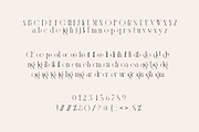 Bollgo Ligature Serif Typeface, a Serif Font by yaqublekker (Thumbnail 8 of 8)
