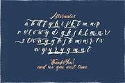 Dayden Batemisy - Brush Script Font, a Script Font by StringLabs (Thumbnail 11 of 11)