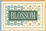 Blossom - Earthy Patterns & Shapes, a Pattern Graphic by Basia Stryjecka (Thumbnail 1 of 33)