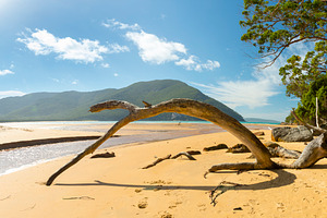 Panorama Of Sealers Cove, a Nature Photo by THP Creative
