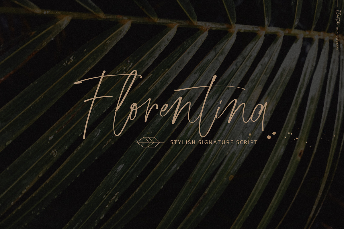 Florentina stylish script font
