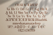 Amesya || Modern Minimalist Serif, a Serif Font by Ermedia Studio (Thumbnail 10 of 10)